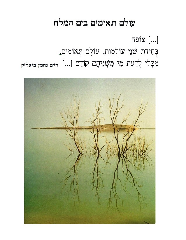 שמואל אבנרי צילום